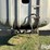 1981-fruehauf-trailer-image-10