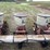 lilliston-8-row-planter-with-fiberglass-boxes,-been-sitting,-some-rust,-boxes-turn-free,-discs-need-loosened-up-image-21