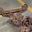 star-hay-carrier-no.-1045a-image-19