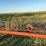 9-wheel-hay-rake-image-11