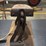 antique-laundry-tools-image-13