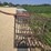 #3910-•-pick-up-truck-cattle-rack-image-6