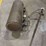 steam-autoclave,-vintage-blow-torch-or-soldering-lamp,-pressure-tank-with-swan,-and-tall-5gl-pail-image-16