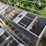 #3865-•-(3)-smidley-stainless-steel-feeders-image-11