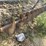 #3855-•-john-deere-9860-unload-auger-image-2