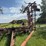 45’-wil-rich-field-cultivator-with-complete-walking-tandems-and-harrows-image-7