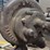 blacksmith-forge-blowers,-forge,-&-branding-iron-free-air-image-2