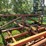 37’-wil-rich-chisel-plow-w/-complete-walking-tandems-and-3-bar-summers-harrow-￼-image-22