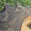 #3894-•-(2)-firestone-28l-x-26-combine-tires-and-rims-image-4