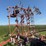 45’-wil-rich-field-cultivator-with-complete-walking-tandems-and-harrows-image-18