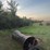 harmon-canola-roller-image-4