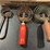 vintage-grooming-tools-for-livestock-image-6