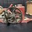 two-agricultural-dusters-“little-giant-duster”-and-a-canvas-water-pail-image-2