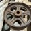 salvaged-cast-iron-wheels-of-varying-sizes-image-13
