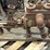 a.y.-mcdonald-hand-boiler-ram-water-pump-image-7