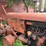 allis-chalmers-c-image-5
