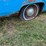1972-plymouth-valient￼,-slant-six-engine-and-manual-transmission,-glass-is-good,-leaf-springs,-been-sitting-for-a-long-time.-image-57