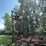 37’-wil-rich-chisel-plow-w/-complete-walking-tandems-and-3-bar-summers-harrow-￼-image-8