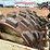 ingersoll-rand-sd77f-image-26