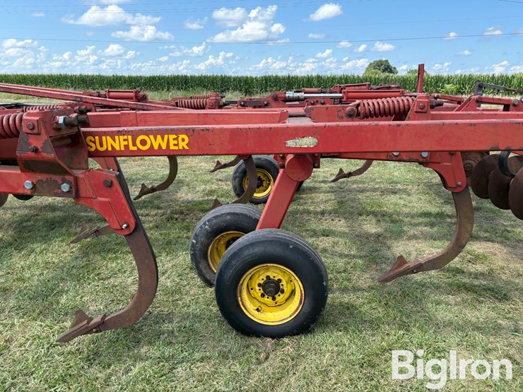 sunflower-4410-18-image-19