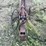 30-foot-richard’s-welding-drill-transport-image-11