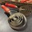 vintage-grooming-tools-for-livestock-image-8