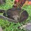 ji-case-5-bottom-14"-pull-type-plow-image-48