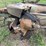 john-deere-semi-mounted-sickle-mower-image-21