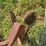 massey-ferguson-3-image-3