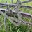 massey-ferguson-14-image-14