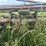 john-deere-1240-image-25