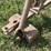 john-deere-corn-binder-image-42