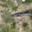 batco-1590-image-4