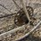 john-deere-bike-image-8