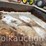 2037-bobcat-2200-image-7