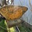 minneapolis-moline-1200-corn-sheller-image-38