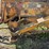 minneapolis-moline-1200-corn-sheller-image-23