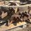 (2)-f&h-allis-chalmers-wc-steel-wheels-image-11