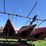 case-ih-1063-image-10