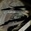 (2)-42-inch-rear-steel-wheels-with-lugs-and-extensions-image-16
