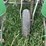 john-deere-1240-image-29