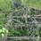 5-bottom-14”-pull-type-plow-image-20