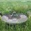 john-deere-mower-image-6