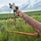 mayrath-truck-auger-image-19