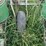 john-deere-1240-image-21