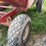 ez-trail-300-image-2