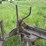 3-bottom-25”-terracing-plow-image-19