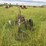 john-deere-2-image-6