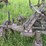 3-bottom-25”-terracing-plow-image-29