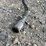 2004-wanco-towable-arrow-board-image-9